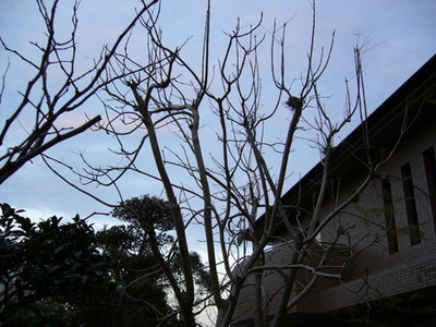 f:id:miyasun:20060217070542j:image