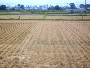 f:id:miyasun:20070801142535j:image