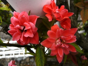 f:id:miyasun:20070801144710j:image