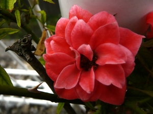 f:id:miyasun:20070801145420j:image