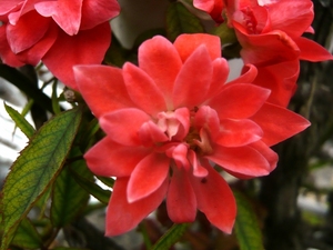f:id:miyasun:20070801145430j:image