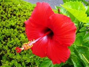 f:id:miyasun:20070910075440j:image