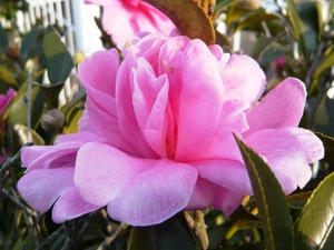 f:id:miyasun:20071211151349j:image