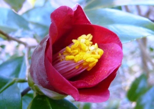 f:id:miyasun:20080220085811j:image