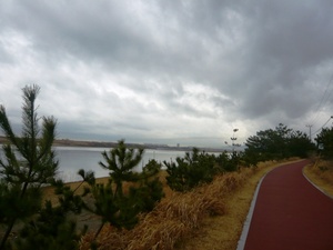f:id:miyasun:20080226081118j:image