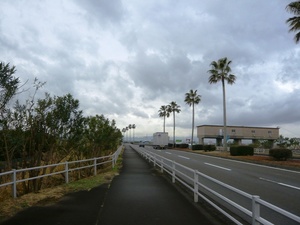 f:id:miyasun:20080226082253j:image