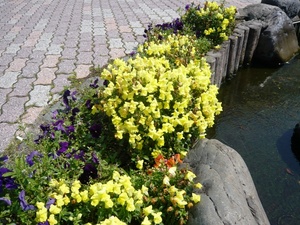 f:id:miyasun:20080520095210j:image