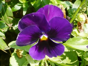 f:id:miyasun:20080520095223j:image