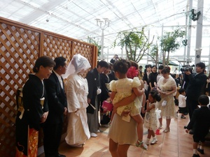 f:id:miyasun:20080705155814j:image