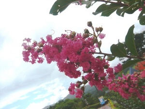 f:id:miyasun:20080812131016j:image