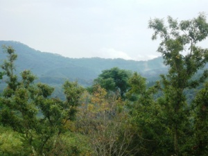 f:id:miyasun:20080923160701j:image