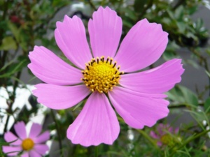 f:id:miyasun:20081004142113j:image