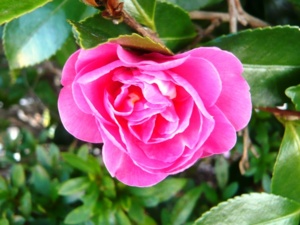 f:id:miyasun:20081125160420j:image