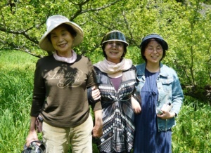 f:id:miyasun:20090415114247j:image