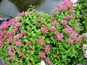 f:id:miyasun:20090929095114j:image