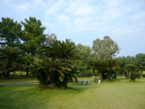 f:id:miyasun:20091028144735j:image f:id:miyasun:20091028144735j:image