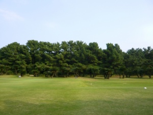 f:id:miyasun:20091028144745j:image f:id:miyasun:20091028144745j:image