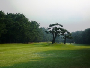 f:id:miyasun:20091028144754j:image f:id:miyasun:20091028144754j:image