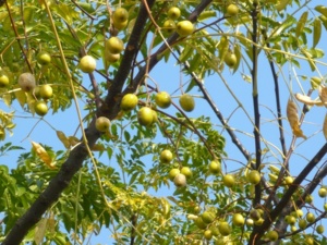 f:id:miyasun:20091030142311j:image