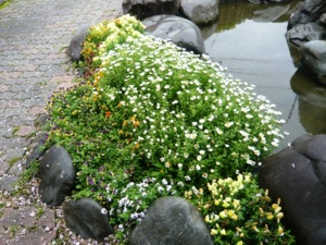 f:id:miyasun:20100420094501j:image