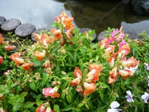 f:id:miyasun:20100420094536j:image
