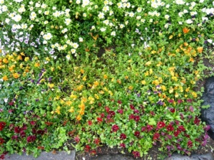 f:id:miyasun:20100420094551j:image