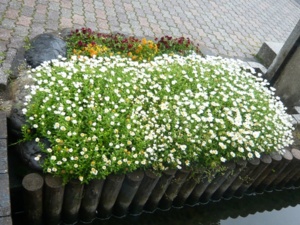 f:id:miyasun:20100420094645j:image