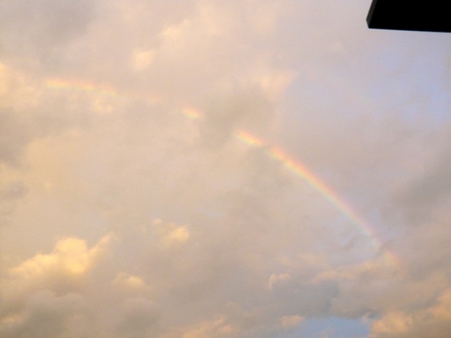 f:id:miyasun:20100811053914j:image f:id:miyasun:20100811053914j:image