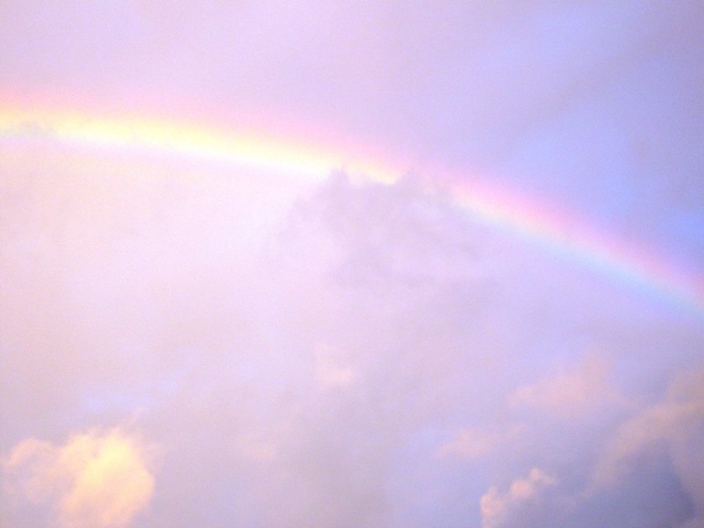 f:id:miyasun:20100811053933j:image f:id:miyasun:20100811053933j:image