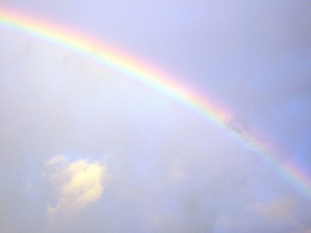 f:id:miyasun:20100811053945j:image f:id:miyasun:20100811053945j:image