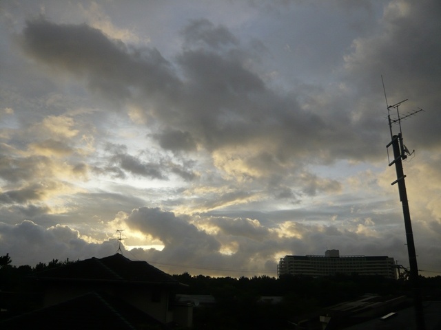 f:id:miyasun:20100811054722j:image f:id:miyasun:20100811054722j:image