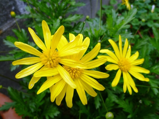 f:id:miyasun:20101216153028j:image f:id:miyasun:20101216153028j:image