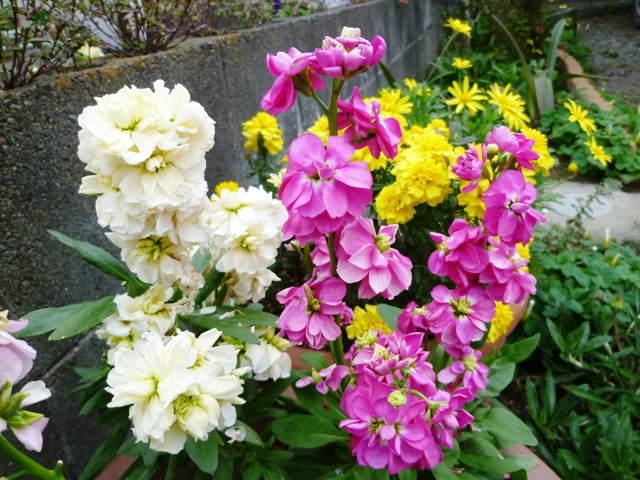 f:id:miyasun:20101216153037j:image f:id:miyasun:20101216153037j:image