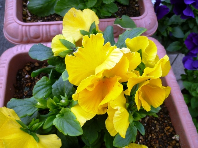 f:id:miyasun:20101216153104j:image f:id:miyasun:20101216153104j:image