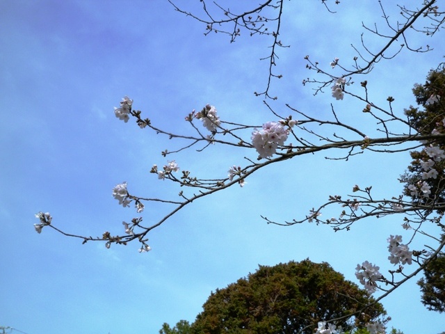 f:id:miyasun:20110324091725j:image f:id:miyasun:20110324091725j:image