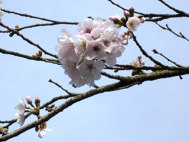 f:id:miyasun:20110324091731j:image f:id:miyasun:20110324091731j:image
