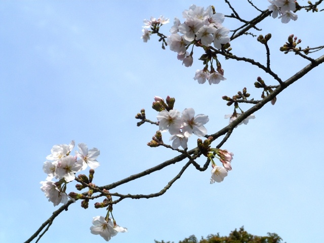 f:id:miyasun:20110324091801j:image f:id:miyasun:20110324091801j:image