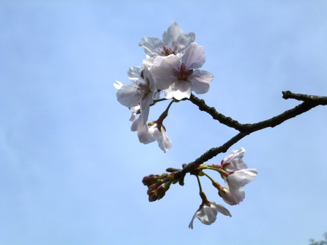 f:id:miyasun:20110324091818j:image f:id:miyasun:20110324091818j:image