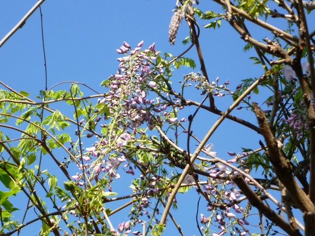 f:id:miyasun:20110414081227j:image