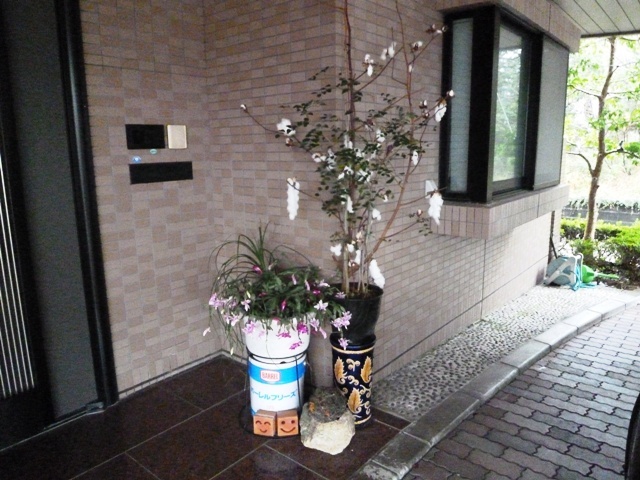f:id:miyasun:20111208081229j:image