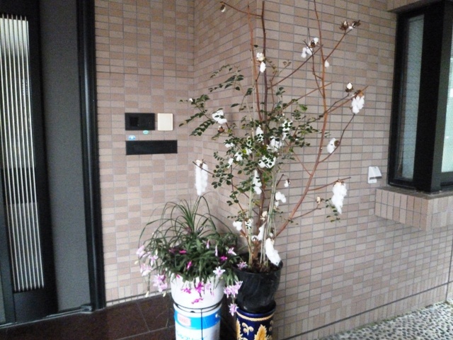 f:id:miyasun:20111208081239j:image
