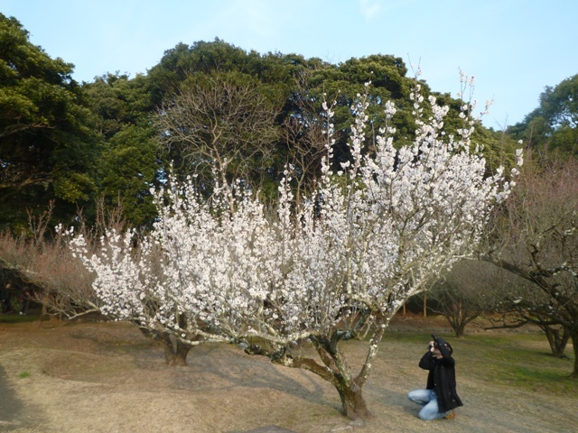 f:id:miyasun:20130131160135j:image f:id:miyasun:20130131160135j:image