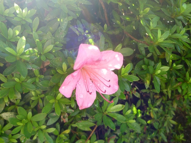 f:id:miyasun:20131009080341j:image