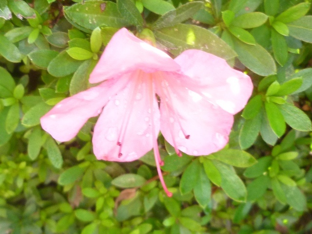 f:id:miyasun:20131009080400j:image
