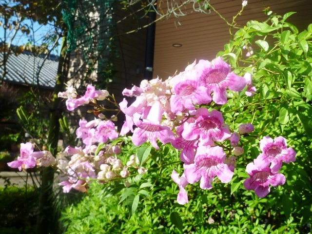 f:id:miyasun:20131009080659j:image