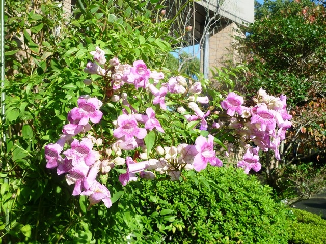 f:id:miyasun:20131009080706j:image