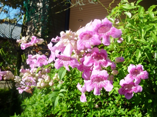 f:id:miyasun:20131009080717j:image
