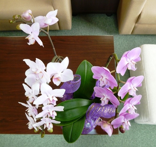 f:id:miyasun:20140217112227j:image