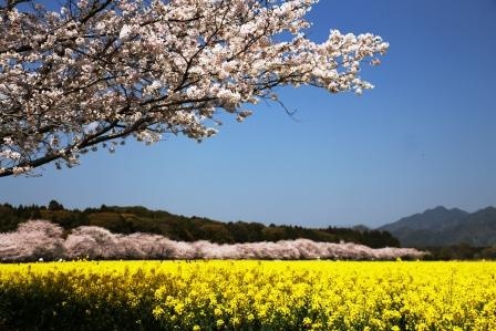 f:id:miyasun:20140328114919j:image