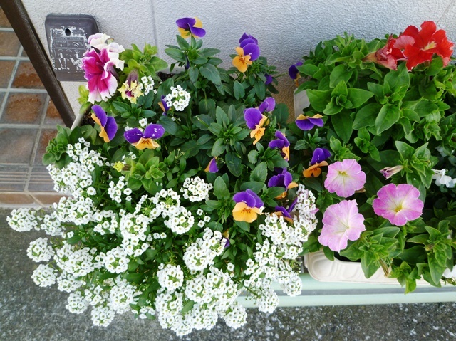 f:id:miyasun:20150127100828j:image